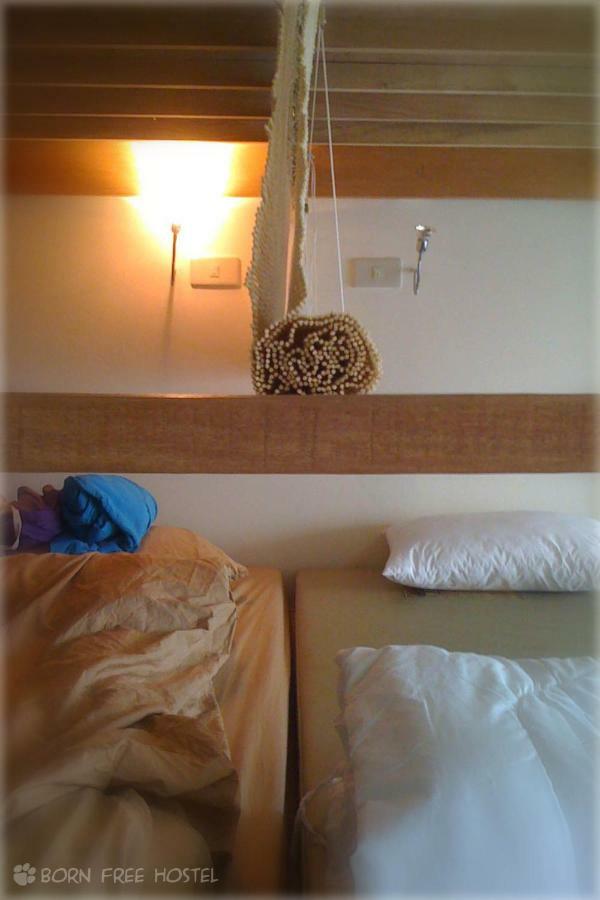 Born Free Hostel Bangkok Bagian luar foto