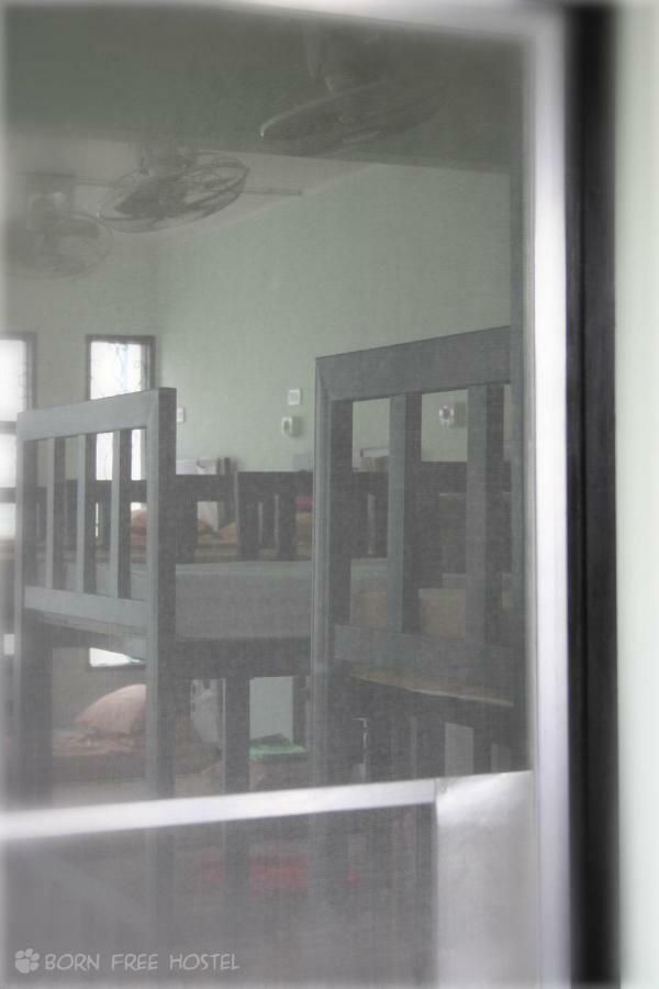 Born Free Hostel Bangkok Bagian luar foto